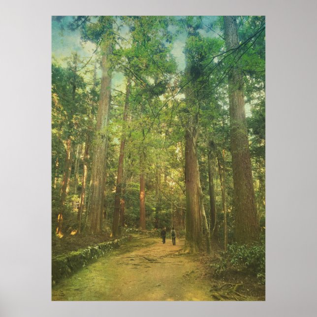 Walking Along Tranquil Kozan-ji Forest Kyoto Japan Poster (Front)