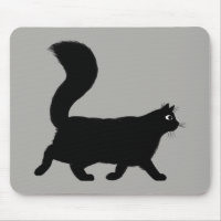 Walking Black Cat | Cool Kitty with Fluffy Tail