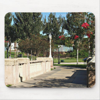Walking Bridge Around Lake Mirror Mouse Pad