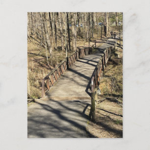 Walking Bridge Postcard