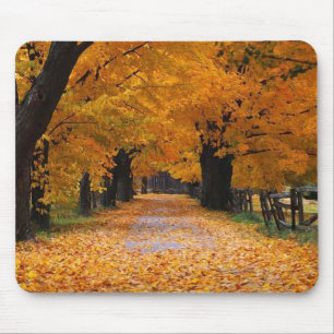 Walking Down Autumn's Memory Lane Mouse Pad