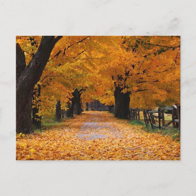 Walking Down Autumn's Memory Lane Postcard (Front)