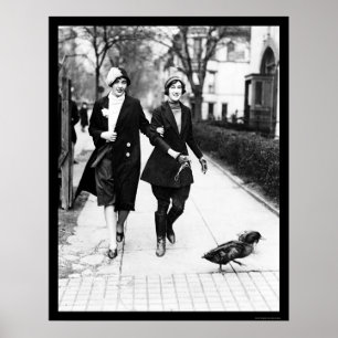 Walking Ducks in Washington, DC 1926 Poster