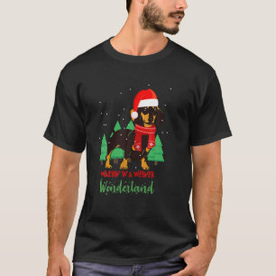 Walking In A Weiner Wonderland Dachshund Christmas T-Shirt