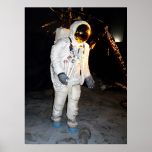 Walking in space poster