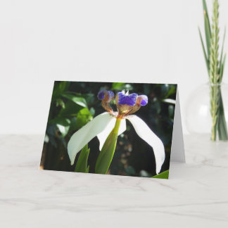 "Walking Iris 2." Greeting Card