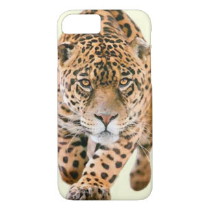 Walking Jaguar Eyes Case-Mate iPhone Case