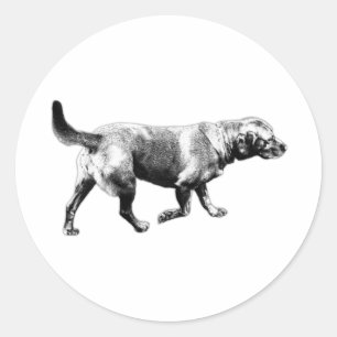 Walking Labrador Ink Art Sticker