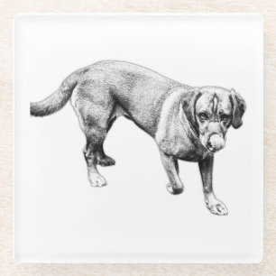 Walking Labrador Licking Ink Art Coaster