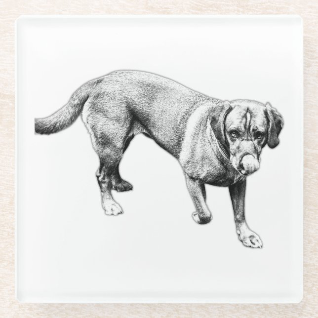 Walking Labrador Licking Ink Art Coaster (Front)