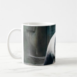 WALKING PANDA FRONT OF CONCRETE BUILDING COFFEE MUG