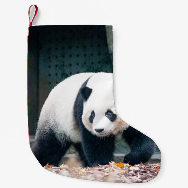WALKING PANDA FRONT OF CONCRETE BUILDING SMALL CHRISTMAS STOCKING (Front)