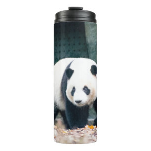 WALKING PANDA FRONT OF CONCRETE BUILDING THERMAL TUMBLER