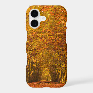 Walking path through the forest in autumn iPhone