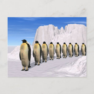 Walking Penguins Postcard