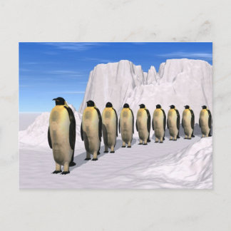 Walking Penguins Postcard