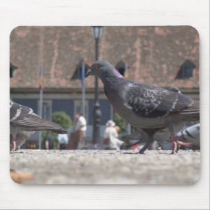 Walking pigeons mouse pad