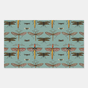 Walking sticks, Katydids and Dragonflies Rectangular Sticker
