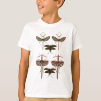 Walking sticks, Katydids and Dragonflies