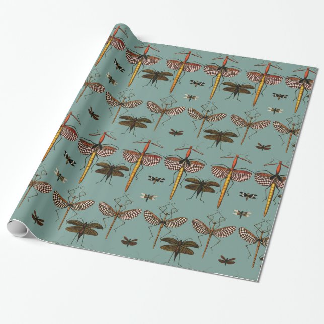Walking sticks, Katydids and Dragonflies Wrapping Paper (Unrolled)