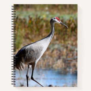 Walking Tall - Sandhill Crane Notebook