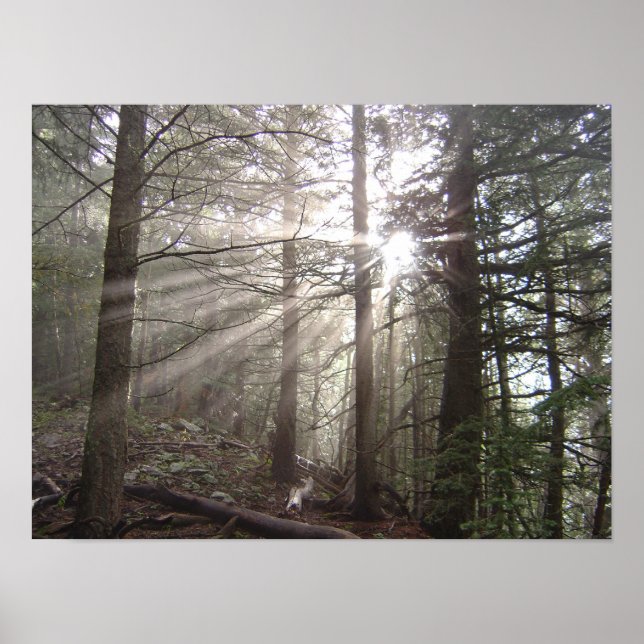 Walking through the Clouds Poster (Front)