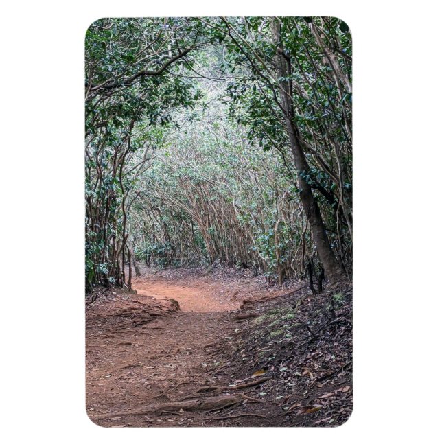 Walking Trail Photo Magnet (Vertical)