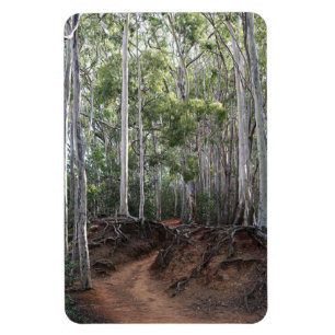 Walking Trail Photo Magnet