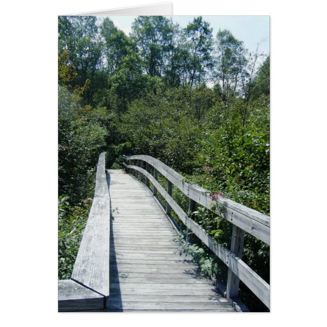"Walkway, Green Mountain National Forest" (Front)