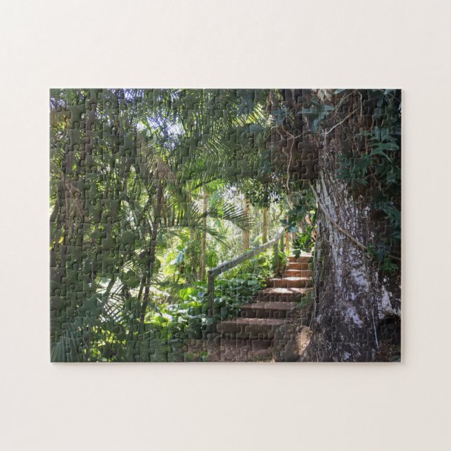 Walkway Through A Tropical Forest, Kauai, Hawaii Jigsaw Puzzle (Horizontal)