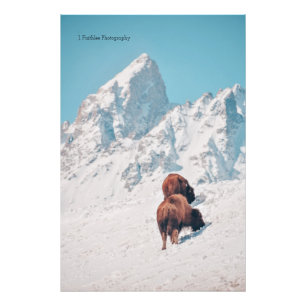 Wall Art Mountain Bison Print