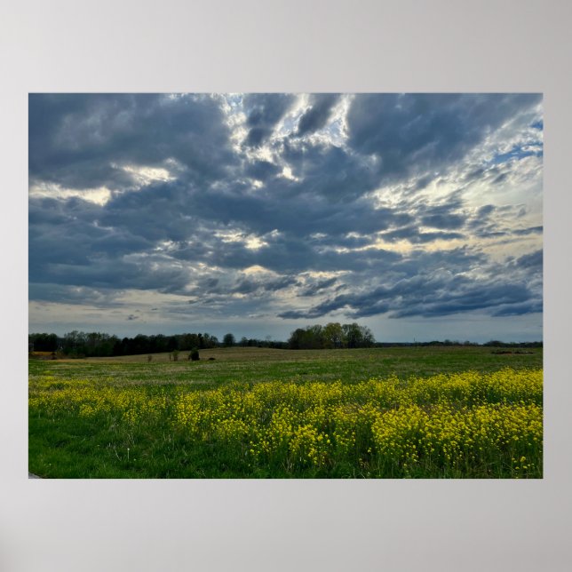 wall art poster (Front)