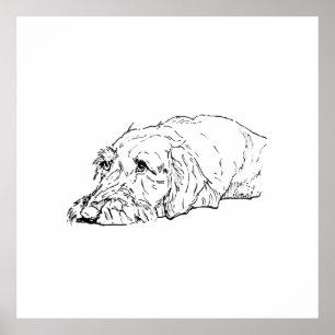 Wall Art, Wire Haired Dachshund - Cute  Poster