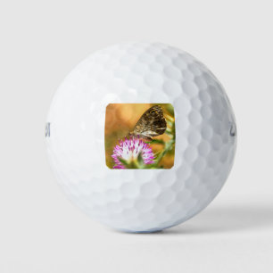 Wall Brown Butterfly Lasiommata megera Painting Golf Balls