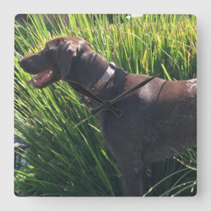 Wall Clock with German Shorthair Pointer