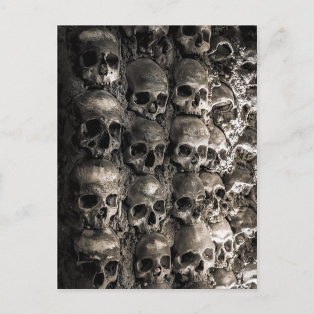 Wall Full Of Skulls And Bones In The Bone Chapel Postcard (Front)