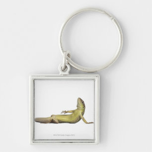 Wall lizard lying down - Podarcis muralis Key Ring