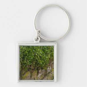 Wall Of Ivy Key Ring