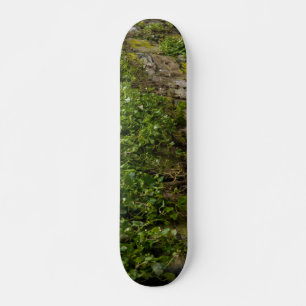 Wall Of Ivy Skateboard