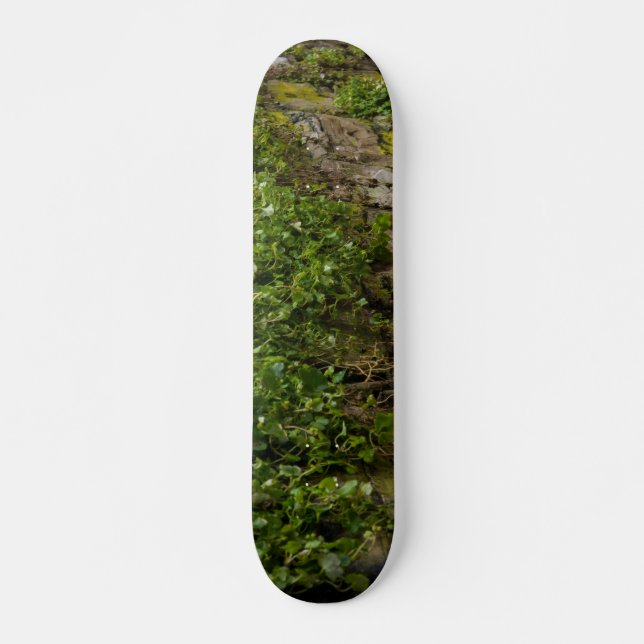 Wall Of Ivy Skateboard (Front)