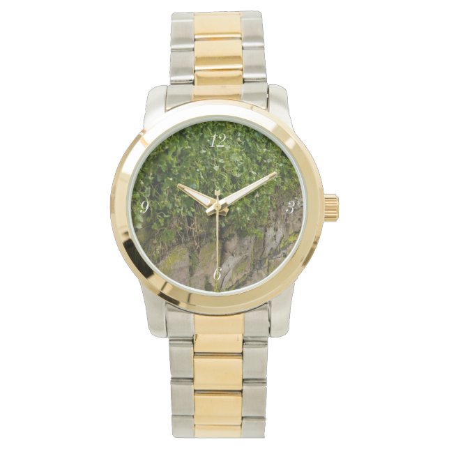 Wall Of Ivy Watch (Front)