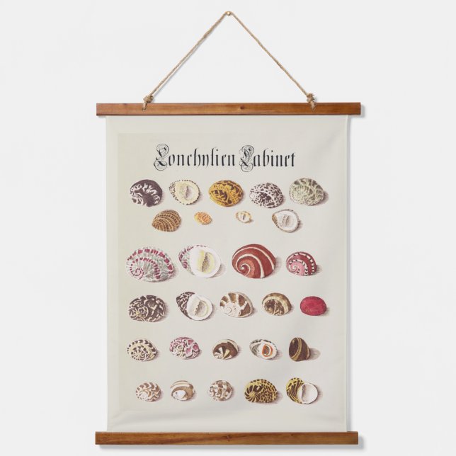  Wall Tapestry Antique Seashells Illustrations (Front)