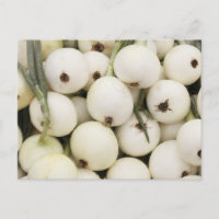 Walla Walla Sweet Onions