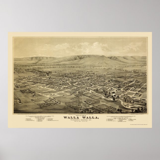 Walla Walla, WA Panoramic Map - 1876 Poster (Front)