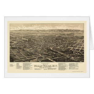 Walla Walla, WA Panoramic Map - 1884