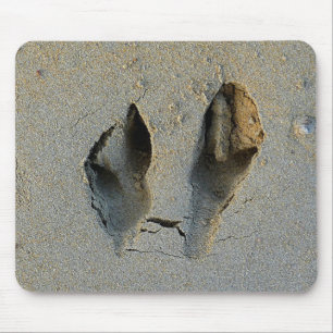 Wallaby Footprints in Sand Mouse Pad