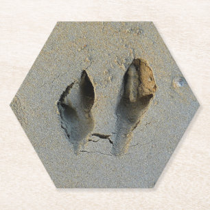 Wallaby Footprints in Sand Paper Coaster
