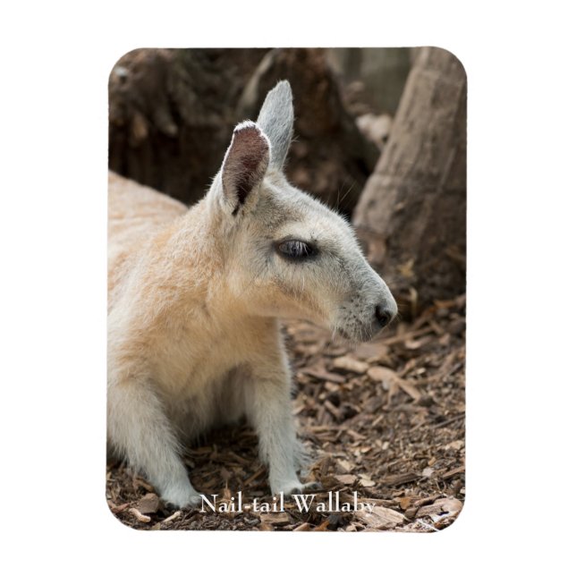 Wallaby Profile Magnet (Vertical)