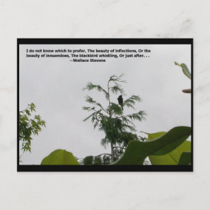 Wallace Stevens Quote Postcard