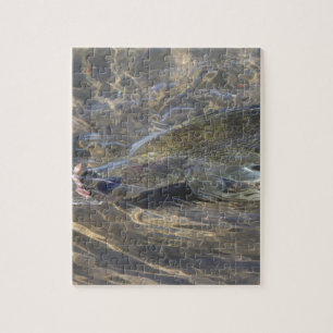 Walleye Caught Jigsaw Puzzle